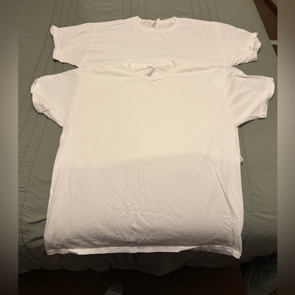 Hanes 2 Shirt Pack (NEVER WORN, Size Large)